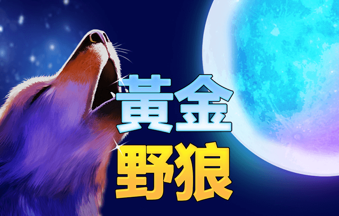 今年会官网登录